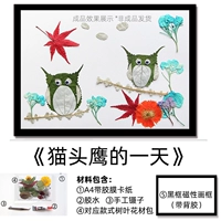 Черная фоторамка, сова