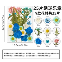 Апельсиновая красная гидрангея Движение-25 Таблетки
