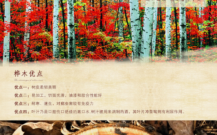 mua đầu đĩa than [Rain Lane] máy ghi âm cổ retro loa lớn bass nặng nhà tinh khiết đồng vinyl máy ghi âm châu Âu 1 	máy nghe nhạc đĩa than sony