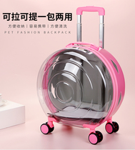 Cat Bag Out Portable Pet Pull Bar Box Space Cabin Latty Dog Bag Windproof Breathable Large Capacity Cat Nest Transparent
