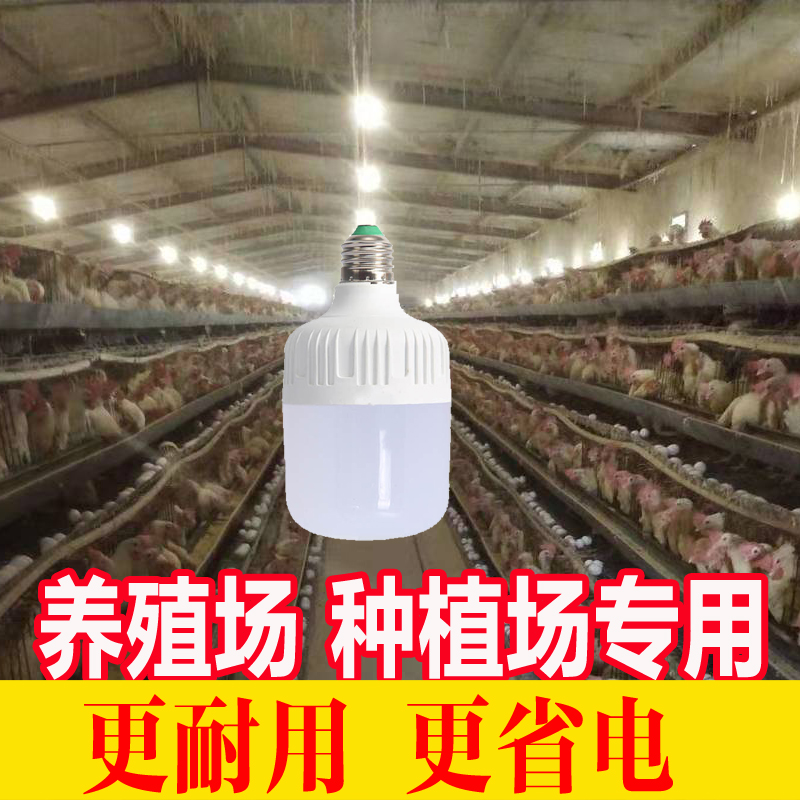 LED Light Bulb Chicken Farm Special Breeding Chicken House Egg Warm Light Waterproof Vegetable Greenhouse Pig White Lighting e27 Screw lamp