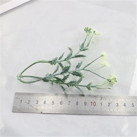 Маленькая Дейзи Уайт