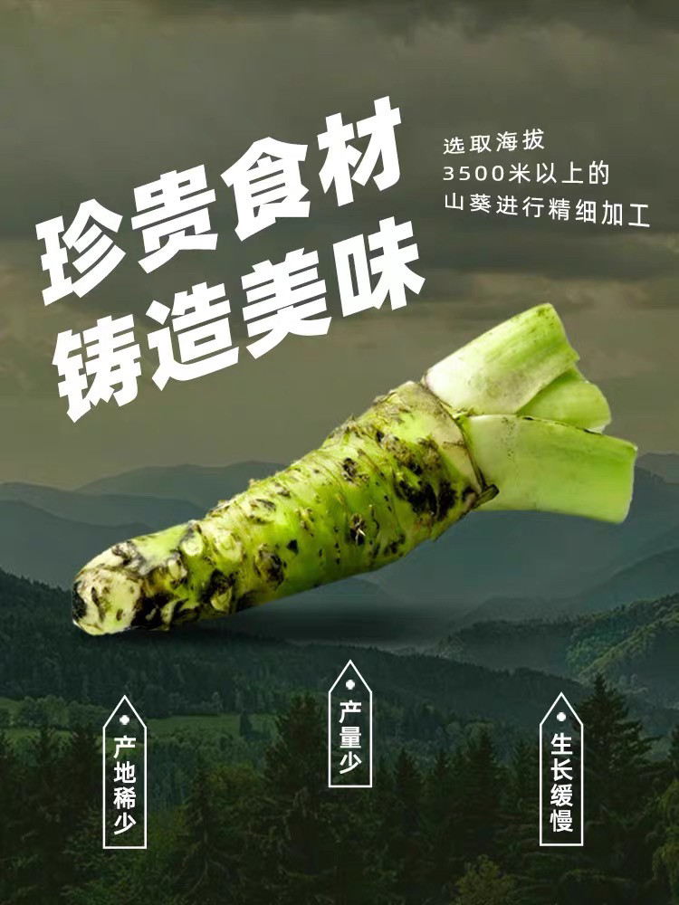 安享好物 安享A级芥末-怀田山葵酱 国标