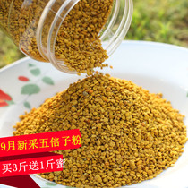 September fresh gallnut pollen natural unbroken wall schisandra pollen bee pollen 500g