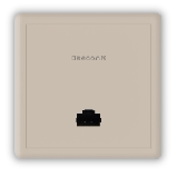 BeeconX BXP1806 Indoor Dual Band WiFi6 Wall AP