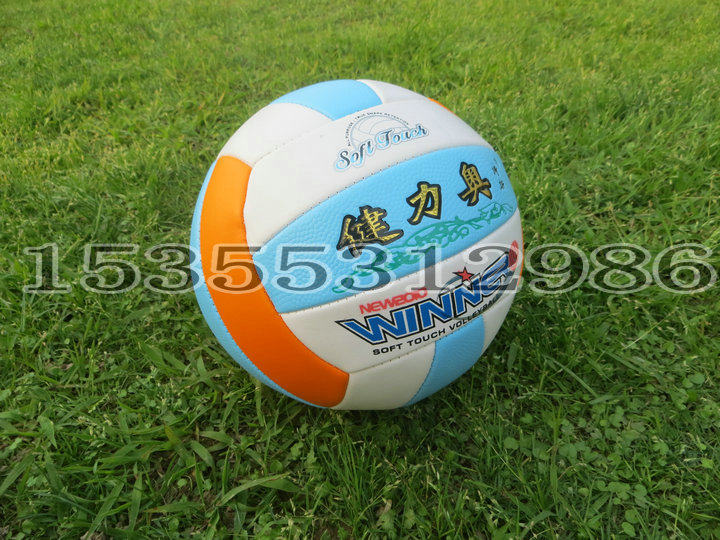 Ballon de volley-ball - Ref 2012424 Image 5