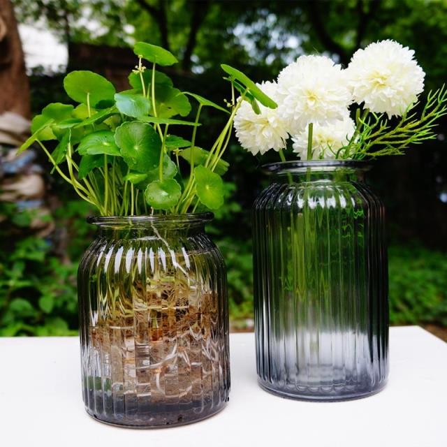 Bình thủy tinh đựng dụng cụ thủy tinh kiểu IKEA * bình hình chữ nhật song song * bình thủy canh - Vase / Bồn hoa & Kệ bình cắm hoa ly