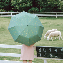Japan CK parasol embroidered side bronzing bow Parasol Female vinyl sunscreen UV protection