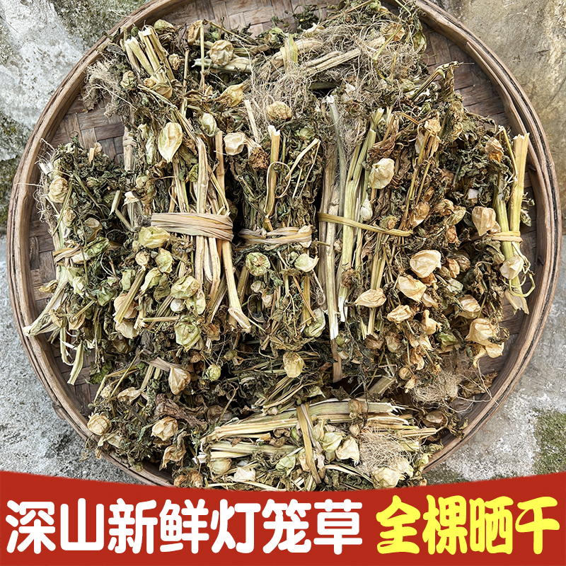 Free Shipping on Lantern Grass, 500g of Traditional Chinese Medicine from Deep Mountains, Ghost Lantern, Bitter Lantern, Southern Girl Fruit Dried Herb