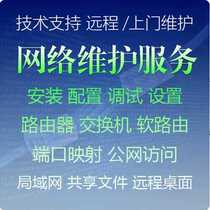 it information remote technical support computer repair network repair switch router system debugging