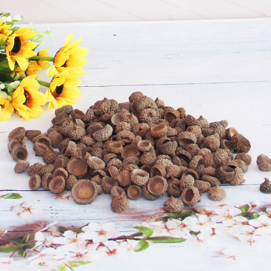 Oak Shell Fruit Decoration Diy Handmade Nursery Ring Creation Material Pendulum Dry Oak Fruit Pine Fruits Dried Flowers