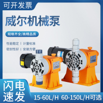Wilwolf Mechanical Diaphragm Pump Metering Pump Dosing Pump Dosing Pump Corrosion Resistant Acid and Alkali Dosing Pump Water Treatment