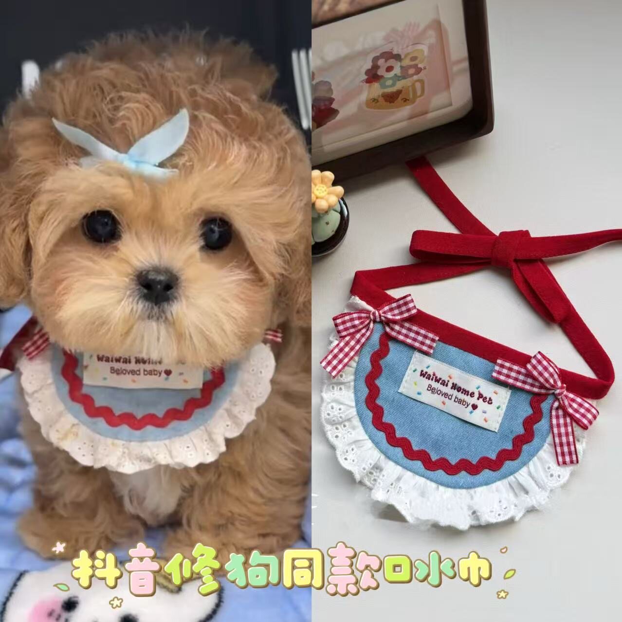 抖音网红同款萌宠可爱口水巾高颜值马尔济斯泰迪比熊小型犬布偶蓝