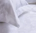 Khăn trải giường khách sạn 60 bông vải dệt kim gối khách sạn năm sao vỏ gối đơn màu trắng tinh khiết - Gối trường hợp