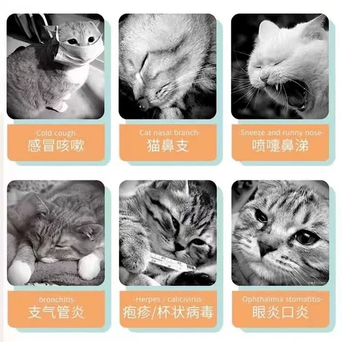 Кошки и собаки, лизин, собаки, нос, герпес, плохое дыхание, чихание, глаза, отверстия, слезы, конъюнктива, застой, храп, кашель