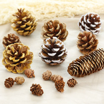 Natural pine nuts pine tower deciduous pine golden white shooting props background Home Decorative Items Christmas Decorations