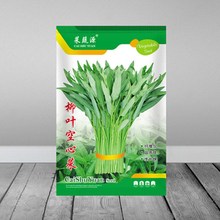 竹叶空心菜种子苗四季菜苗蔬菜种子