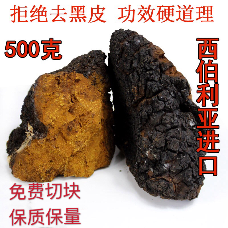 Russia imported birch mushroom wild 1 kg chaga brown pore fungus chaga birch birch tear birch mushroom mushroom tea 500g