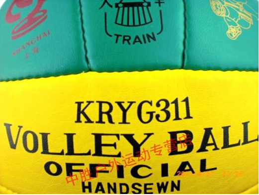 Ballon de volley-ball TRAIN - Ref 2015962 Image 6