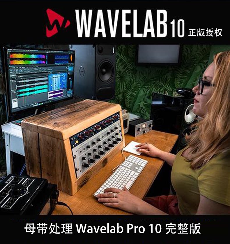 Steinberg Wavelab Pro 11 Mother Belt handles professional audio editing music software