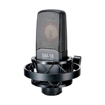 Takstar wins SM-18 recording live broadcast YY recording song singing and shouting wheat bag debugging