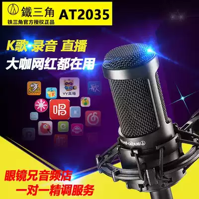Audio Technica Iron Triangle AT2035 high-end large diaphragm condenser microphone computer recording live broadcast