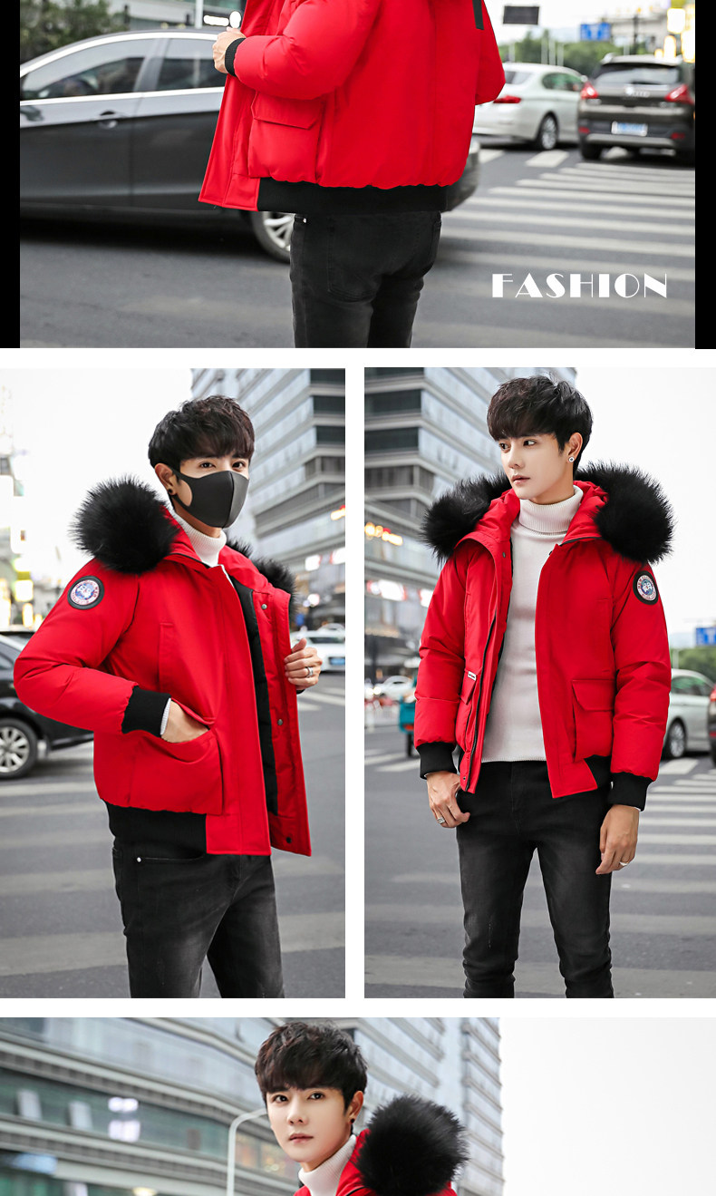 Blouson hiver pour homme   OTHER - Ref 3111923 Image 15