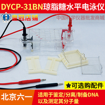 Beijing 61 DYCP-31BN Agar Sugar Level Electrophoresis Tank Laboratory DNA Nucleic Acid Electrophoresis Instrument Tank