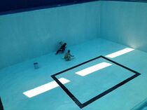 New generation IPN-8710 Swimming pool Special paint drinking water Anticorrosive Exclusive Paint Swimming Pool Lacquered