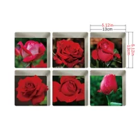 ZTYG-023 Матовый стиль