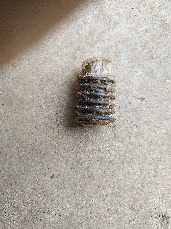 16MM Nanning Film Machine Triumph Wheel in Nanning