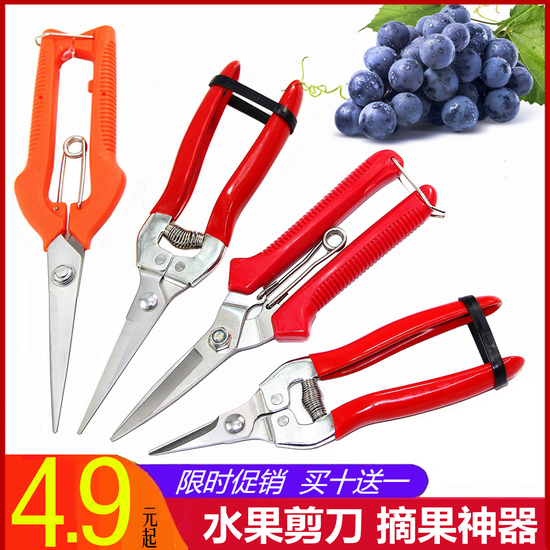 Pruning shears Grape picking fruit picking fruit scissors Orange thin fruit scissors Picking floral art Repairing garden art tools artifact