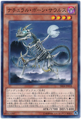 N Pingka Naturally Bone Dinosaur Day Edition SR04 806