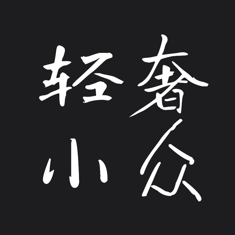 轻奢小众潮包