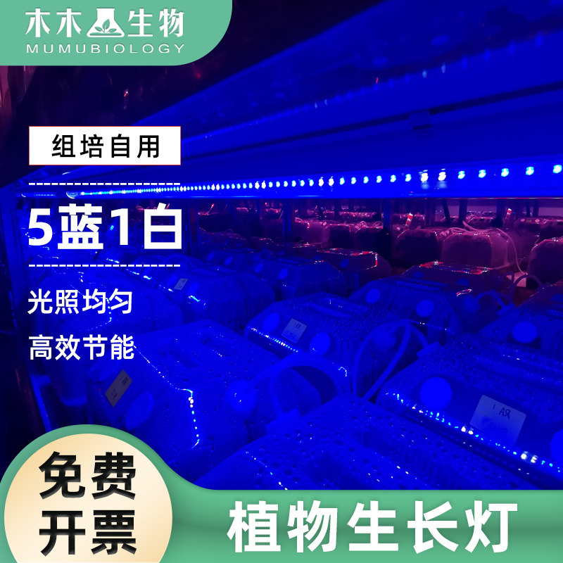 飞利浦 T8LED组培灯植物补光灯 5蓝1白植物生长灯带开关灯育苗灯