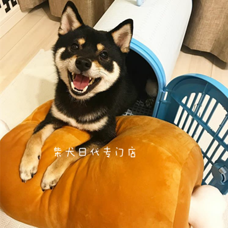 Coussin Manga - Ref 2691502 Image 7