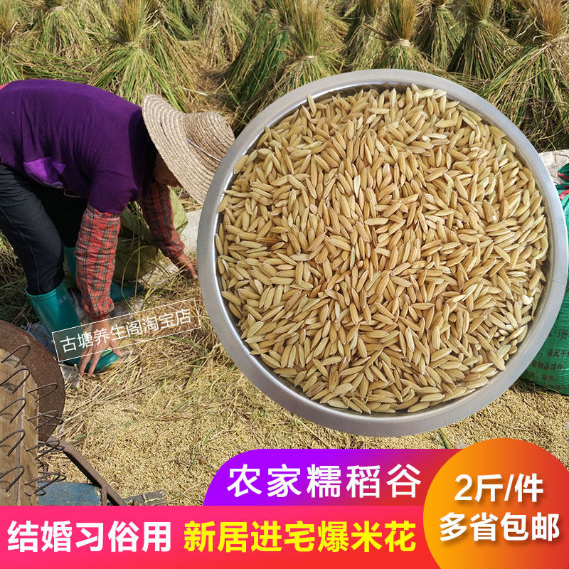 2021 Farmhouse Early Winter Rice Glutinous Rice Glutinous Valley With Shell Jo Relocating New Residence House Occupation in Residence Popcorn Wedding Celebration Customs