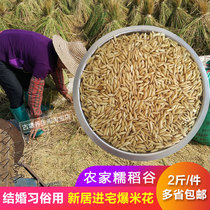Farmhouse early winter rice glutinous Valley moved new house into House popcorn wedding custom use 2021 shell glutinous millet
