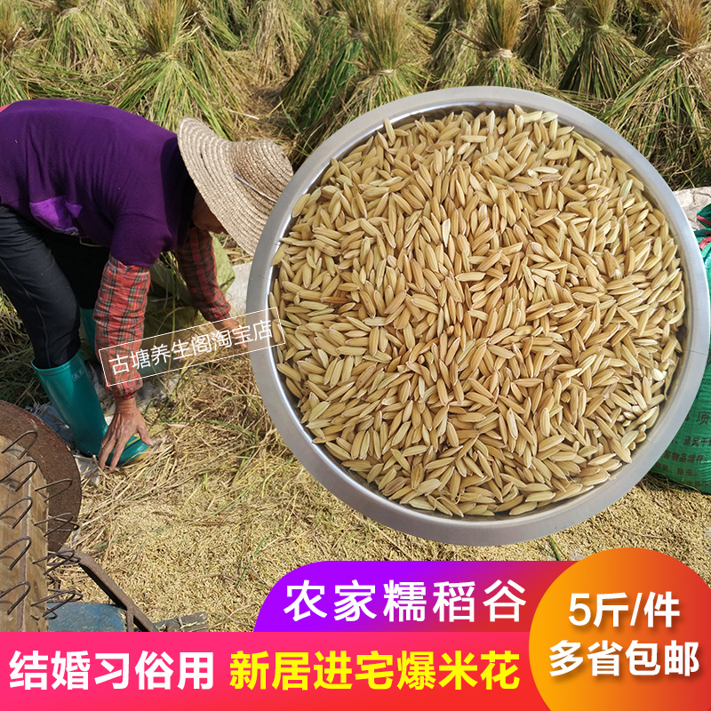 2021 Farmhouse Early Winter Rice Glutinous Rice Glutinous Rice With Shell Dry Goods New House Occupied in the Residence Big Yoshimi Flowers Tie Wedding Celebration