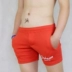 Quần short cotton nhà nam / quần dài nam baggy nam Quần short