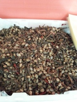 Wuyi Xuanping specialty spicy peanut dry Taro local snacks snack farmhouse homemade dry goods taste