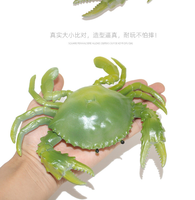 Игрушки-животные 仿真塑胶螃蟹玩具大闸蟹海蟹海鲜动物模型大号龙虾儿童男孩礼物 053