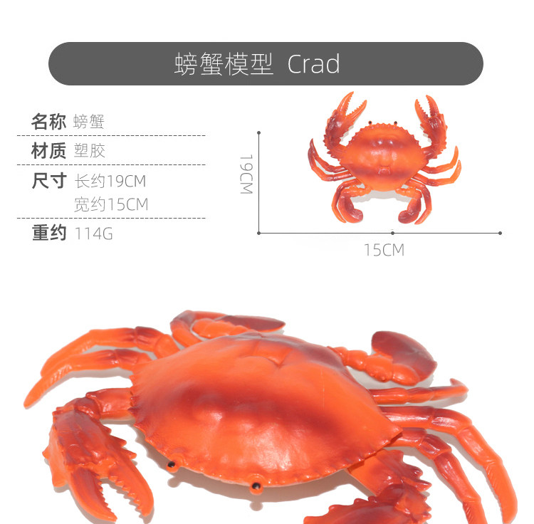 Игрушки-животные 仿真塑胶螃蟹玩具大闸蟹海蟹海鲜动物模型大号龙虾儿童男孩礼物 053