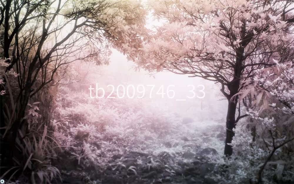 New picture postcard photo postcard Print Various sizes National shipping 06a032