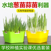 Sprout vegetable seedling plate Hydroponic onion seedling Garlic seedling artifact Water plant creative seedling pot Bean sprout planting plate