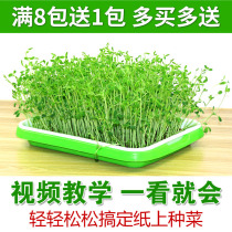 High quality sprouts seeds soilless cultivation Balcony four seasons organic vegetable seeds Bean sprouts Flaxseed perilla peas