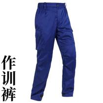 Summer blue for training suit Single pants training for long pants winter for training single pants blue style mens pants