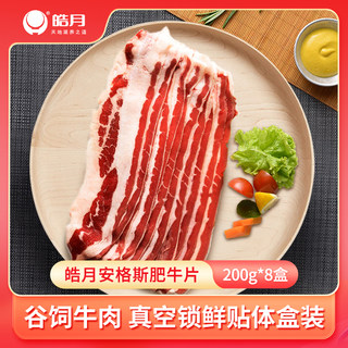 Haoyue Angus beef fillet 200g*8 boxes