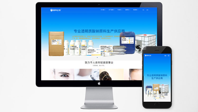 网站定制开发