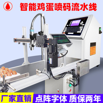 Whole Dish Egg Spray Machine Marking Machine Red Black Egg Pattern Date Coding One Key Operation Simple Eating